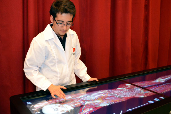 Universidad chilena estrena uso de 'mesas de disección virtuales' para carreras de salud