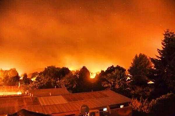 Onemi: Controlan incendio forestal en Angol y 18 se encuentran activos en el país