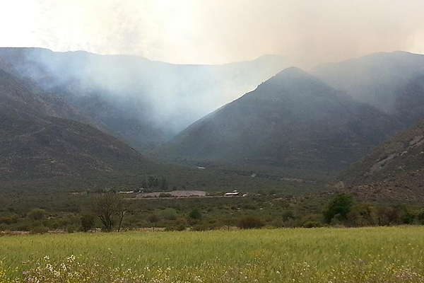 Onemi declara Alerta Roja para la comuna de Putaendo por incendio forestal