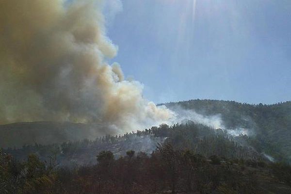 Declaran Alerta Roja para la comuna de San Antonio por incendio forestal