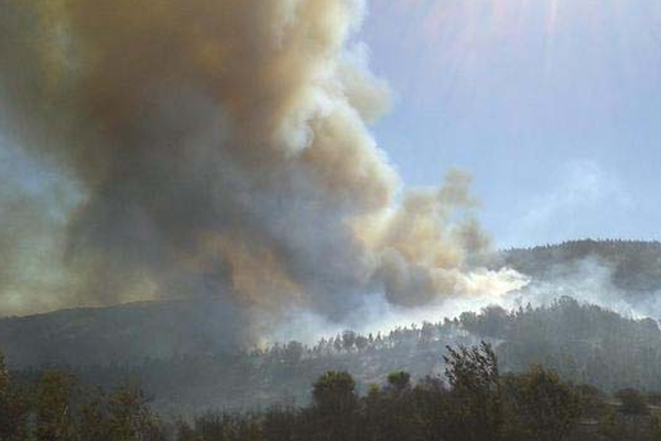 Alerta roja en el Maule por dos incendios forestales en Cauquenes y San Javier