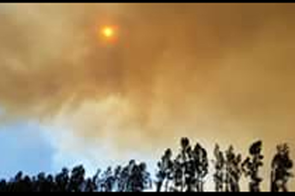 Onemi declara alerta roja para la comuna de Peralillo por incendio forestal