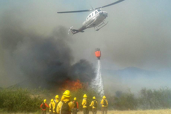 Onemi dispone naves adicionales para combatir incendio forestal en Peralillo
