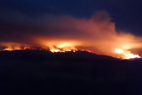 Violento incendio forestal en Arauco ha consumido al menos 40 hectáreas