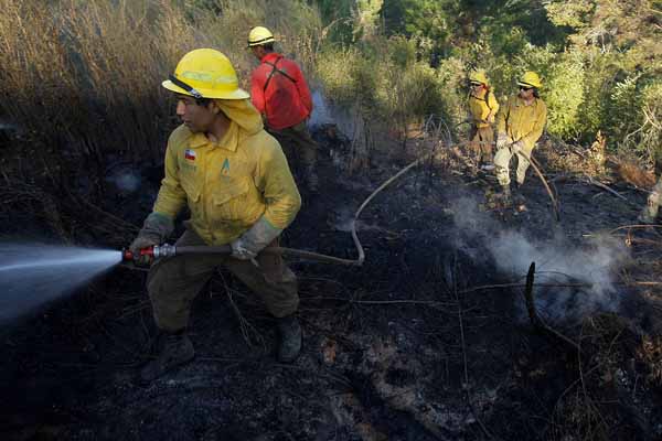 Incendios forestales: Onemi registra 26 focos activos entre Valparaíso y La Araucanía