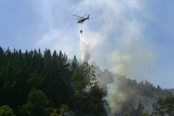 Onemi informa 22 incendios forestales activos, afectando a más de 9 mil hectáreas