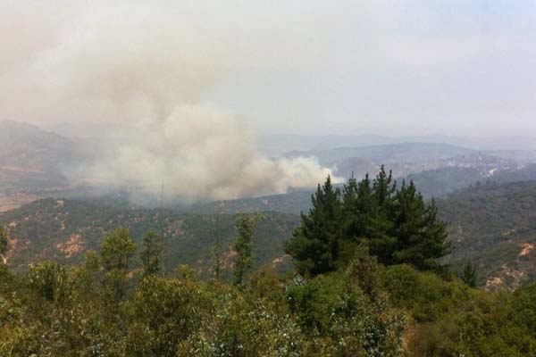 Onemi entrega balance: 22 incendios forestales activos afectan a 7.287 hectáreas