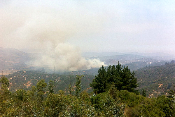 Un total de 29 incendios forestales se mantienen activos entre el Maule y Aysén