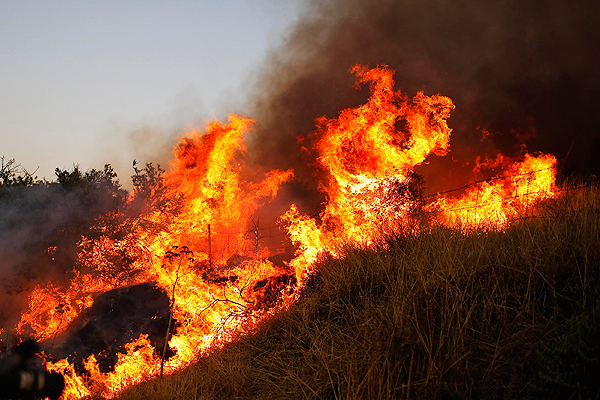 Incendio forestal amenaza viviendas en comuna de Teodoro Schmidt