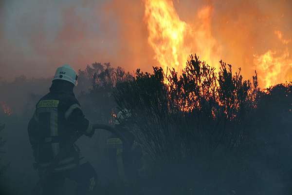 Declaran Alerta Roja en comuna de Puerto Varas por incendio forestal