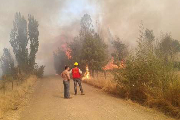 Conaf informó que se mantienen 46 incendios activos en distintas regiones del país
