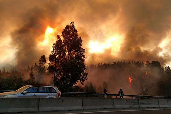 Alcalde de Valparaíso confirma que incendio forestal alcanzó parte alta de la ciudad
