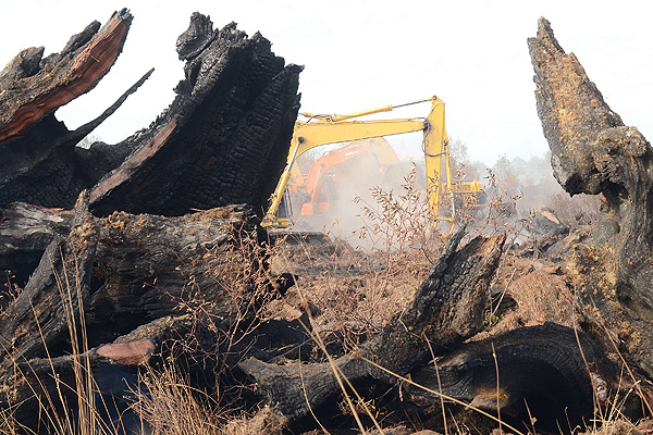 A 30 aumenta el número de incendios forestales activos en el país