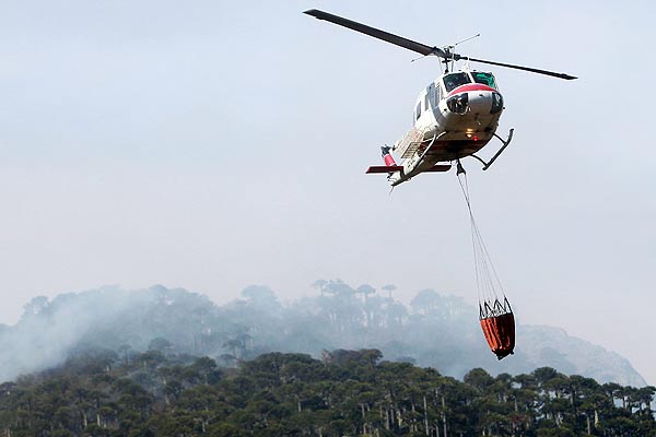 Alerta Roja en Panguipulli por incendio que amenaza a zonas pobladas y una hidroeléctrica